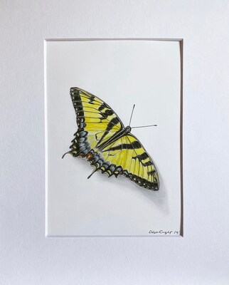 Butterfly art, Butterflies, home decor, wall prints, wall art, - image2